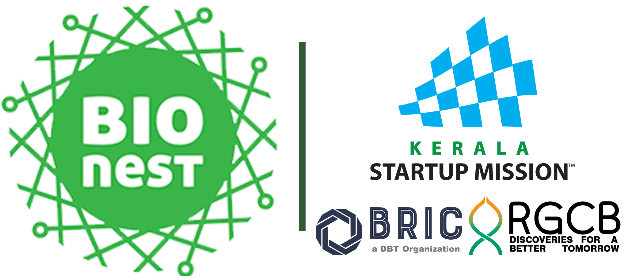 Website Logo